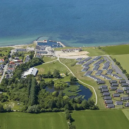 Pet Friendly In With Wifi Tatil Evi